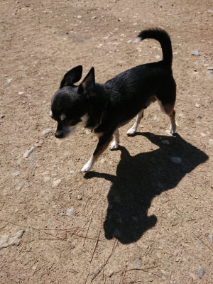 f:id:roukenhome-ann:20190509142020j:plain