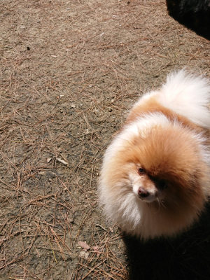 f:id:roukenhome-ann:20190509142032j:plain
