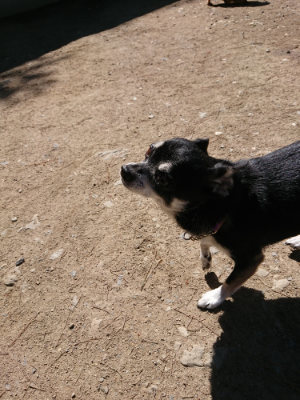 f:id:roukenhome-ann:20190509142039j:plain