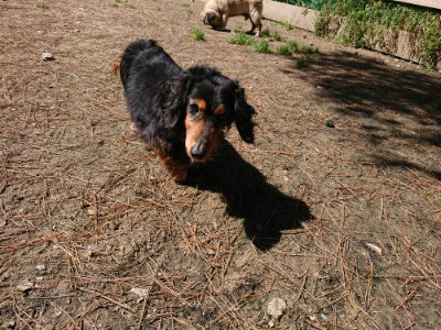 f:id:roukenhome-ann:20190509142106j:plain