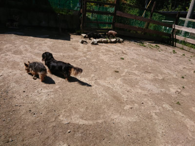 f:id:roukenhome-ann:20190509142116j:plain