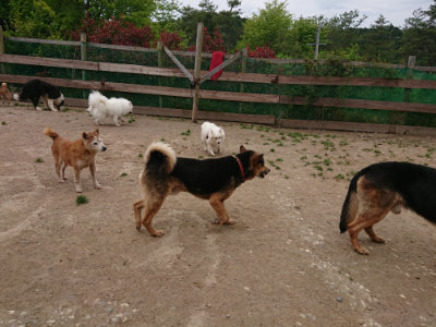 f:id:roukenhome-ann:20190509181424j:plain