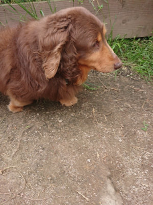 f:id:roukenhome-ann:20190509181434j:plain