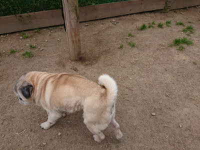 f:id:roukenhome-ann:20190509181456j:plain
