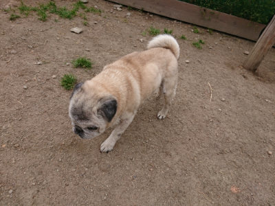 f:id:roukenhome-ann:20190509181518j:plain