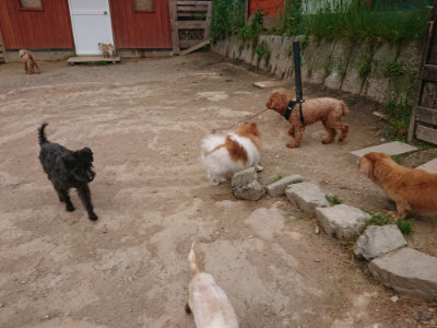 f:id:roukenhome-ann:20190509181530j:plain