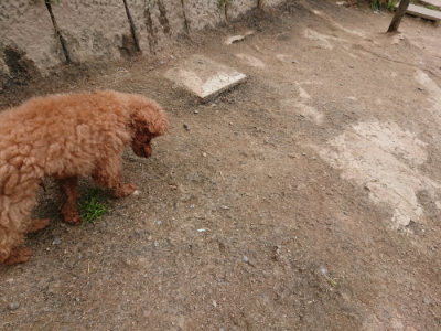 f:id:roukenhome-ann:20190509181542j:plain