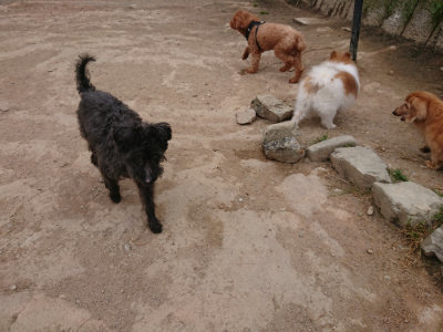 f:id:roukenhome-ann:20190509181553j:plain