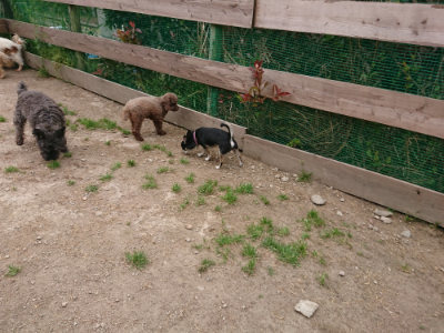 f:id:roukenhome-ann:20190509181608j:plain