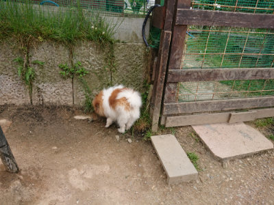 f:id:roukenhome-ann:20190509181638j:plain