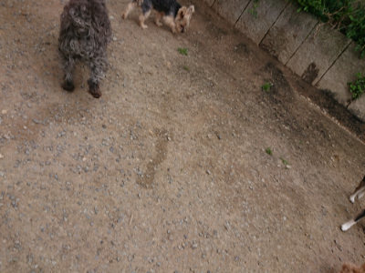 f:id:roukenhome-ann:20190509181646j:plain