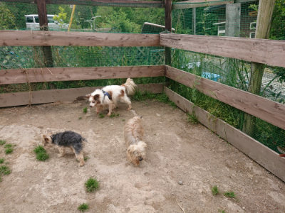 f:id:roukenhome-ann:20190509181701j:plain