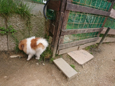 f:id:roukenhome-ann:20190509181715j:plain