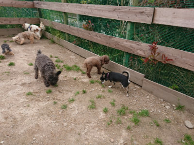 f:id:roukenhome-ann:20190509181721j:plain