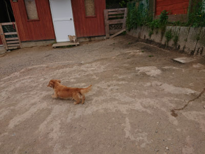 f:id:roukenhome-ann:20190509181728j:plain
