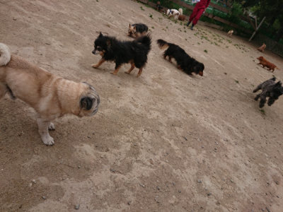 f:id:roukenhome-ann:20190509181736j:plain