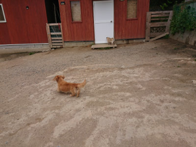f:id:roukenhome-ann:20190509181758j:plain