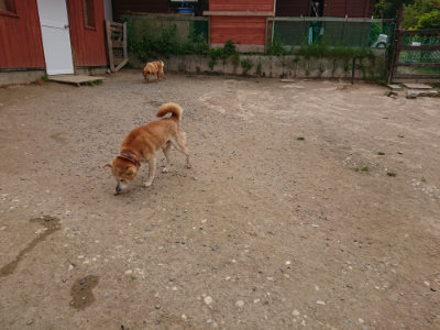 f:id:roukenhome-ann:20190509181806j:plain