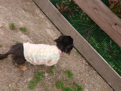 f:id:roukenhome-ann:20190509181812j:plain
