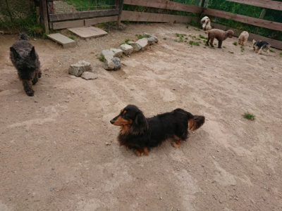 f:id:roukenhome-ann:20190509181832j:plain
