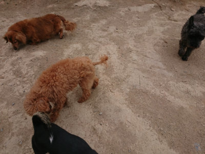 f:id:roukenhome-ann:20190509181843j:plain