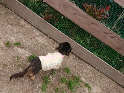 f:id:roukenhome-ann:20190509181856j:plain