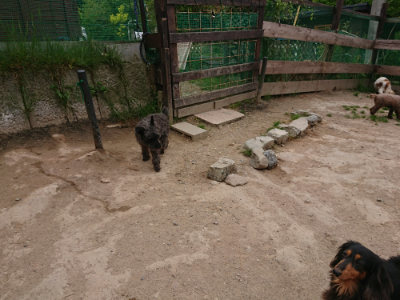 f:id:roukenhome-ann:20190509181902j:plain