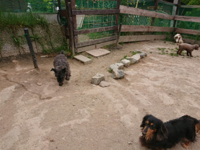 f:id:roukenhome-ann:20190509181937j:plain
