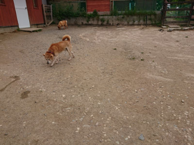 f:id:roukenhome-ann:20190509181942j:plain