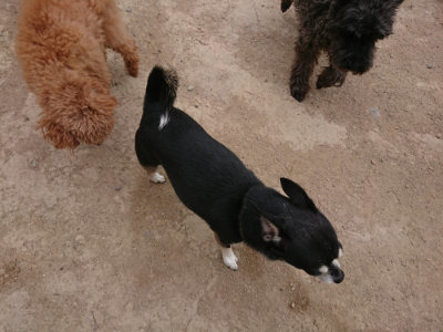 f:id:roukenhome-ann:20190509182021j:plain