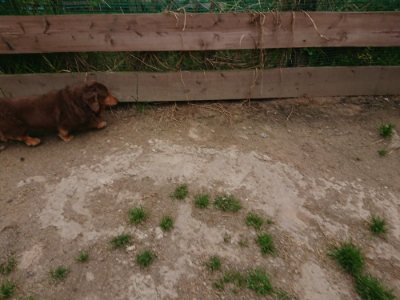f:id:roukenhome-ann:20190509182040j:plain