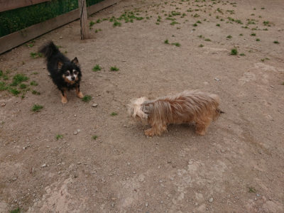 f:id:roukenhome-ann:20190509183355j:plain