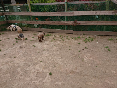 f:id:roukenhome-ann:20190509183416j:plain