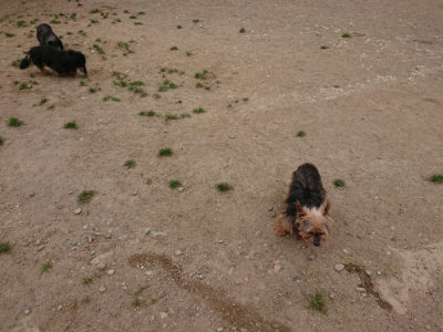 f:id:roukenhome-ann:20190509183437j:plain