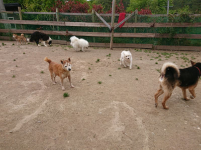 f:id:roukenhome-ann:20190509183443j:plain