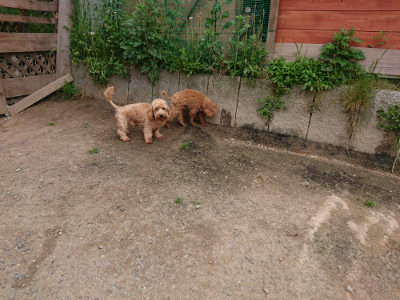 f:id:roukenhome-ann:20190509183512j:plain