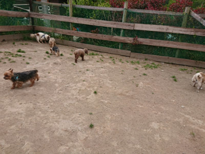 f:id:roukenhome-ann:20190509183517j:plain