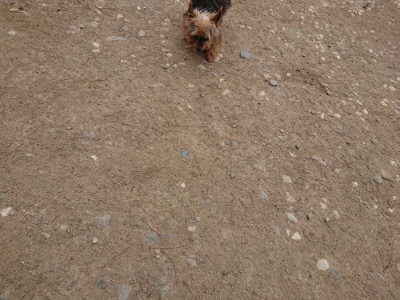 f:id:roukenhome-ann:20190509183541j:plain