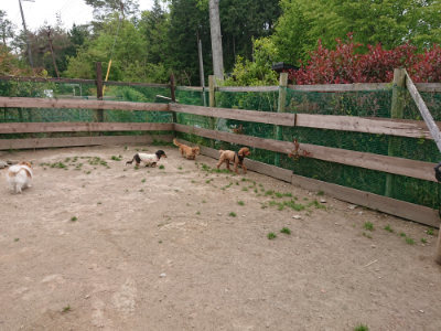 f:id:roukenhome-ann:20190509183551j:plain