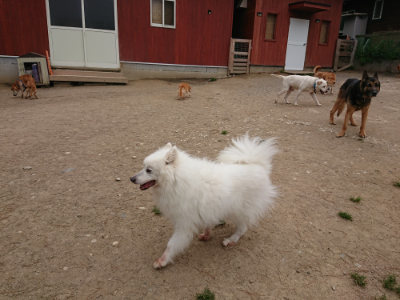 f:id:roukenhome-ann:20190509183606j:plain