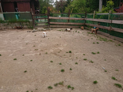 f:id:roukenhome-ann:20190509183627j:plain