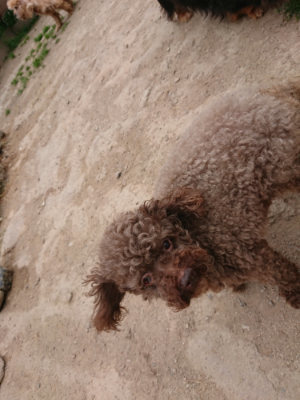 f:id:roukenhome-ann:20190509183637j:plain