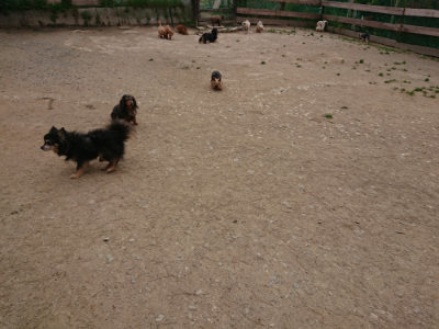 f:id:roukenhome-ann:20190509183643j:plain
