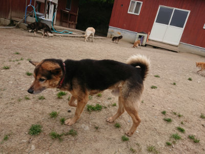 f:id:roukenhome-ann:20190509183648j:plain