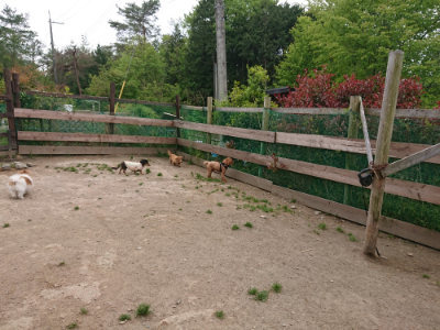 f:id:roukenhome-ann:20190509183653j:plain