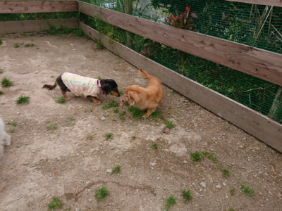 f:id:roukenhome-ann:20190509183734j:plain