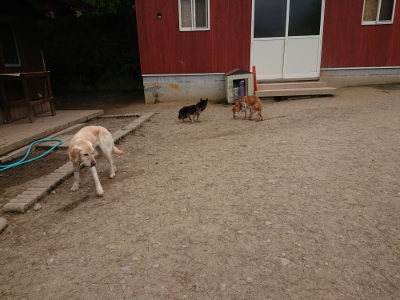f:id:roukenhome-ann:20190509183746j:plain
