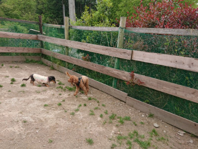 f:id:roukenhome-ann:20190509183751j:plain