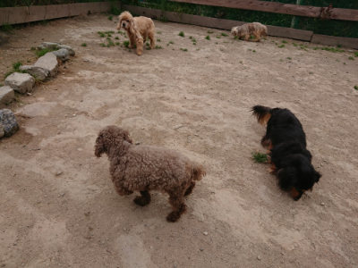 f:id:roukenhome-ann:20190509183804j:plain