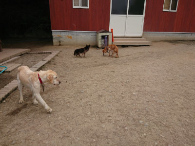 f:id:roukenhome-ann:20190509183832j:plain